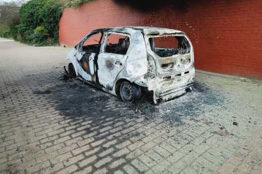 20170209-20170209-_dsf3396