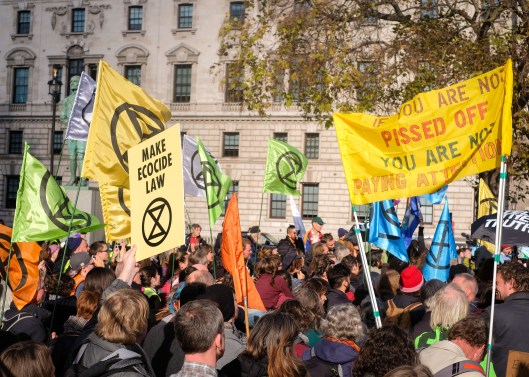 Extinction_Rebellion_Protest_Parliament_Square-7-6